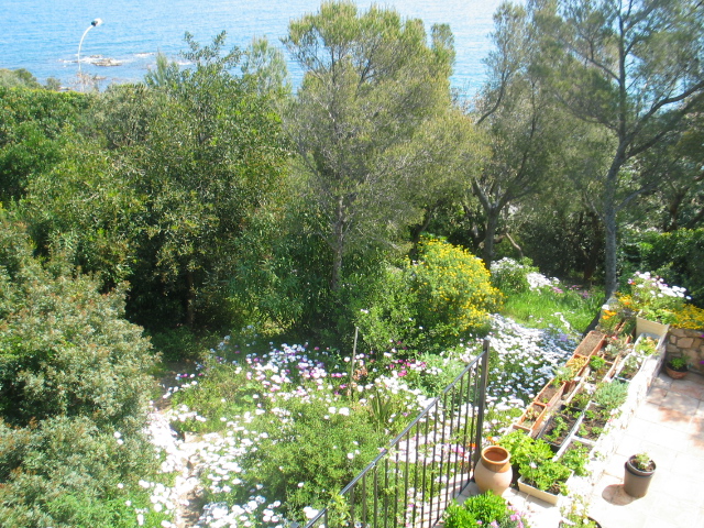 The view in the garden