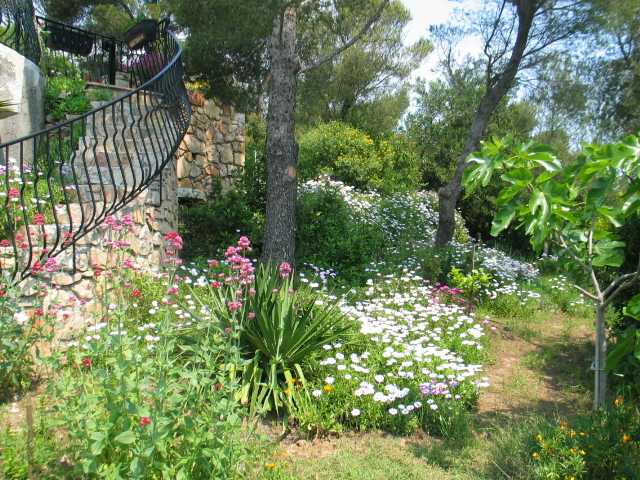 The garden, near the stairs to go to the pool