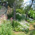 The garden, near the stairs to go to the pool